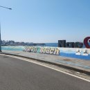 제주 이호테우 카페 추천 &#39;반아울&#39; 내돈내산 후기 - 알작지해변 오션뷰 카페