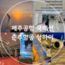 브레댄코제주공항국제선 | 제주공항 국제선 춘추항공 상하이 탑승 후기 수화물 규정