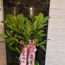 휴 노래연습장 이미지