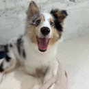 코코스퀘어 이미지