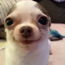 태현기업 | [25년 7~8월] 좋아하는 것을 계속 좋아하세요