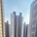 센트럴119공인중개사사무소 이미지