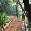 보라매서울 이미지