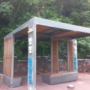 효석문학100리길 제5-2구간 이미지