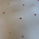 몰타 | [신혼여행] 몰타 세인트줄리안 숙소 추천, 하얏트리젠시 몰타 숙박후기 및 수영장
