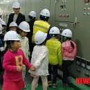 강원 태양광발전소 이미지