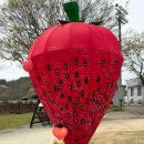 수곡 | 진주 수곡 딸기축제 후기•• 🍓 28개월 아기랑 다녀온 봄나들이 (사전예약 꿀팁까지 !)