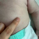 엡솔루트 | 🔍 분유 알러지 극복! ➡️ 앱솔루트 센서티브 내돈내산 후기 🍼✨