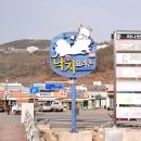 독천낙지마당 | 영암 맛집 독천낙지마당 3대 영암 낙지 맛집 중 단연 최고~!