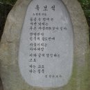 니캉내캉도시락