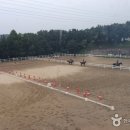 복용승마장 이미지