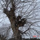 해보초등학교 이미지