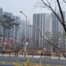 김포시청 Daum카페