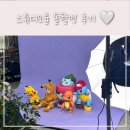 용호1로5번길 | 군포 돌사진 잘찍는곳 추천 │ 스튜디오율 돌촬영 솔직후기