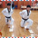 리라태권도 이미지