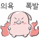 탐나짬뽕 이미지
