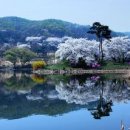 봄 - 완주군 지사제로 161 | 봄