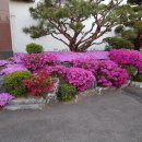 마로니파크 이미지