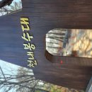 8코스(울산염포삼거리~일산해변)(1228) 이미지