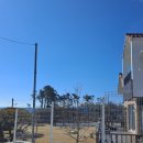 트럼프3부동산공인중개사사무소 이미지