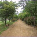 올레길 도심형 1코스 이미지