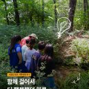 가족소풍 | [후기] 주말 가족체험 추천! 소풍길 토요 가족여행으로 떠난 숲체험🌳