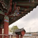 연지 | 청도 유등연지 산책 후기｜낮에 걸어보니 더 좋았던 연못 풍경