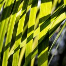 예원화원&예원 이미지