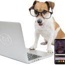 마이펫푸드 이미지