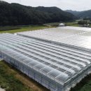 경영농장 이미지