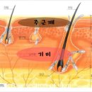 올가라인닥터큐