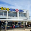 아들과 함께한 짜릿한 손맛! 속초 바다낚시 체험 속초동광호배낚시체험 후기 🎣🌊
