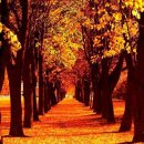 옥곡초등학교 이미지