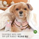 주니히로