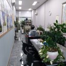 센텀부동산공인중개사사무소 이미지