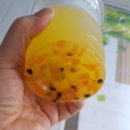 열매이야기 이미지