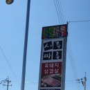 시루마루 이미지