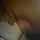 매직크린 | [식당/상가 청소] 묵은 기름때까지 완벽하게 지워주는 마법! 매직크린 솔루션 찐 후기