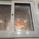 열우물로 | 인천 십정동 대패 무한리필 ‘청고장 대패무한’ 내돈내산 솔직 후기