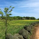 용담동 선사무덤유적 이미지