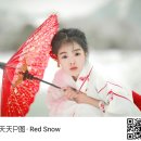 밤새 우리 이미지