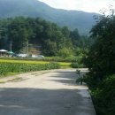 구산회관 Daum카페