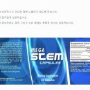 메가스템