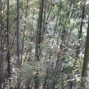 영남루1길 이미지