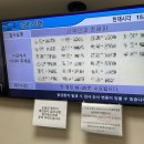 씨유 용인세브란스병원점 | 쌍둥이 임신 34주차 용인세브란스 산부인과 외래 허혜원교수님 막달검사 태동검사