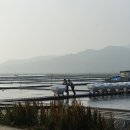 증도면보건지소 티스토리