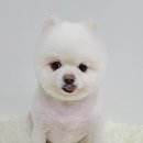 봉천역 3번출구 뒤 이미지