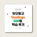 하나모듈(주)노동조합 | 듀오링고 영어-스페인어 조합 500일 무료 학습 후기