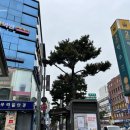 프탓터프팅스튜디오 서울 터프팅 원데이클래스 죠르디 러그 만들기