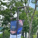 [서울 핫플] 광화문광장 '감사의 정원' 솔직 후기(저녁 재방문 약속!)